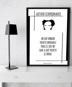 Lámina Schopenhauer