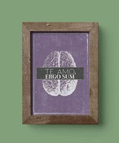 Lámina Ergo Sum