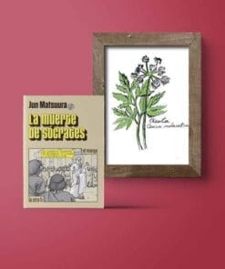 Pack Sócrates - Edición Limitada -